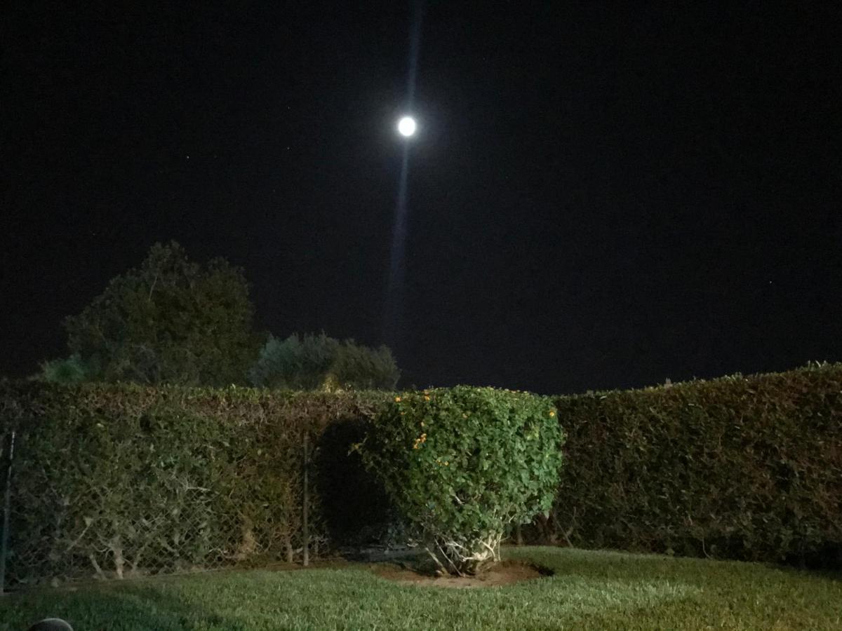 וילהמורה Solar Monteverde מראה חיצוני תמונה